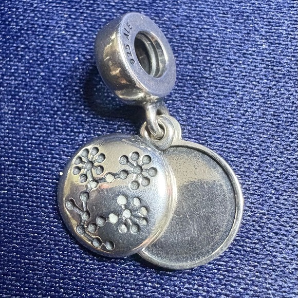 Pandora Charm Limited Edition Breast Cancer Awareness Double Sided Locket - Picture 1 of 6